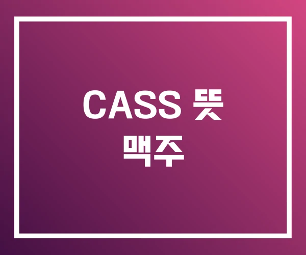 CASS 뜻 맥주