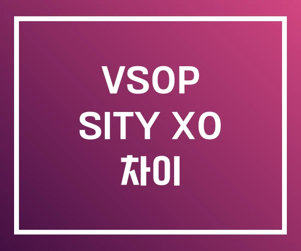 VSOP SITY XO 차이