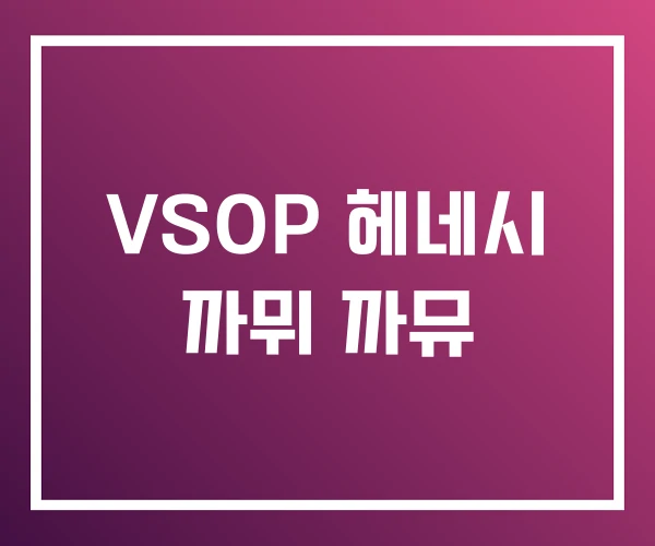 VSOP 헤네시 까뮈 까뮤