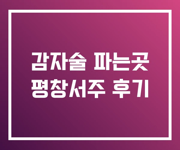 감자술 파는곳 평창서주 후기 감자술 파는곳 평창서주 후기