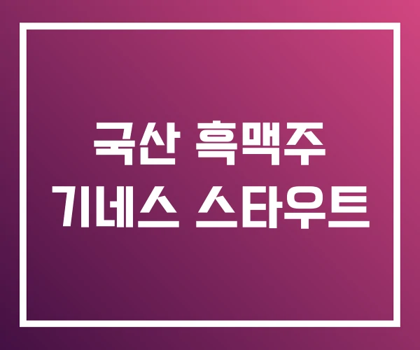 국산 흑맥주 기네스 스타우트 국산 흑맥주 기네스 스타우트