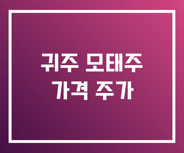 귀주 모태주 가격 주가 귀주 모태주 가격 주가