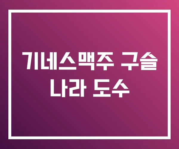 기네스맥주 구슬 나라 도수