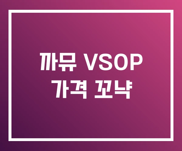 까뮤 VSOP 가격 꼬냑