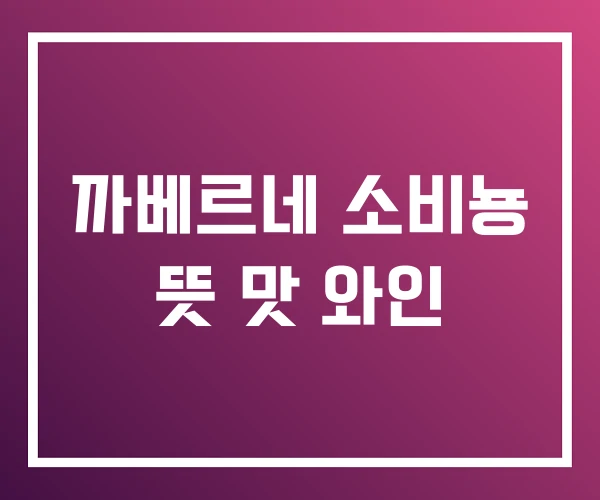 까베르네 소비뇽 뜻 맛 와인 까베르네 소비뇽 뜻 맛 와인