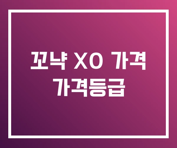 꼬냑 XO 가격 가격등급 꼬냑 XO 가격 가격등급