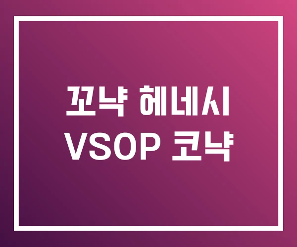 꼬냑 헤네시 VSOP 코냑 꼬냑 헤네시 VSOP 코냑