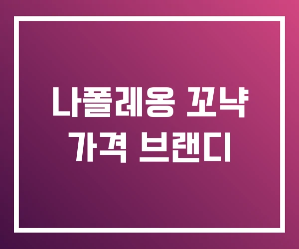 나폴레옹 꼬냑 가격 브랜디