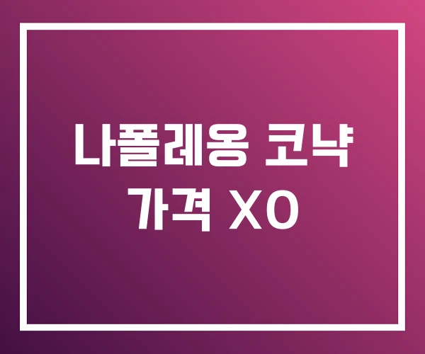 나폴레옹 코냑 가격 XO