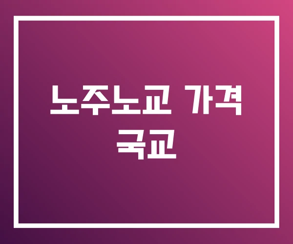 노주노교 가격 국교