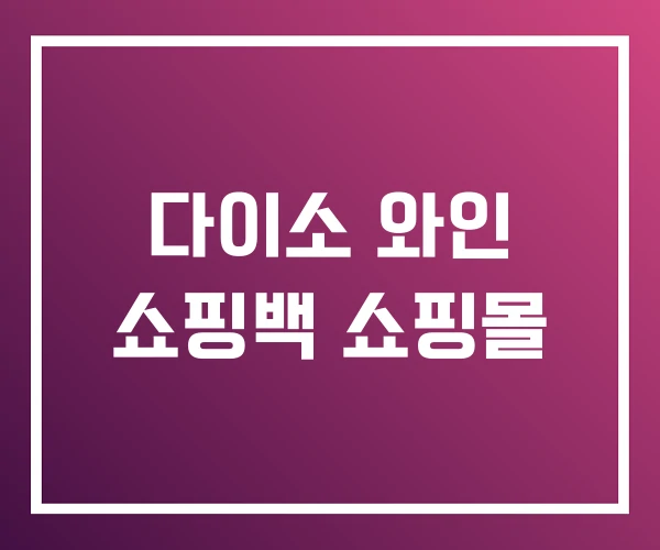 다이소 와인 쇼핑백 쇼핑몰