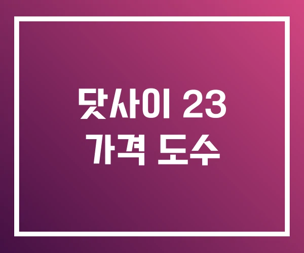 닷사이 23 가격 도수