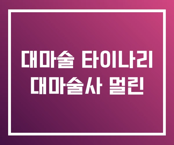 대마술 타이나리 대마술사 멀린 대마술 타이나리 대마술사 멀린