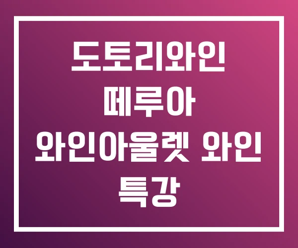 도토리와인 떼루아 와인아울렛 와인 특강