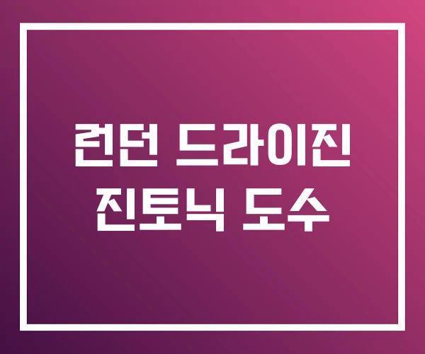 런던 드라이진 진토닉 도수 런던 드라이진 진토닉 도수