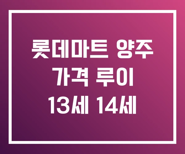 롯데마트 양주 가격 루이 13세 14세