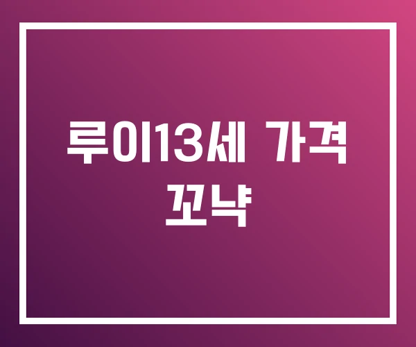 루이13세 가격 꼬냑