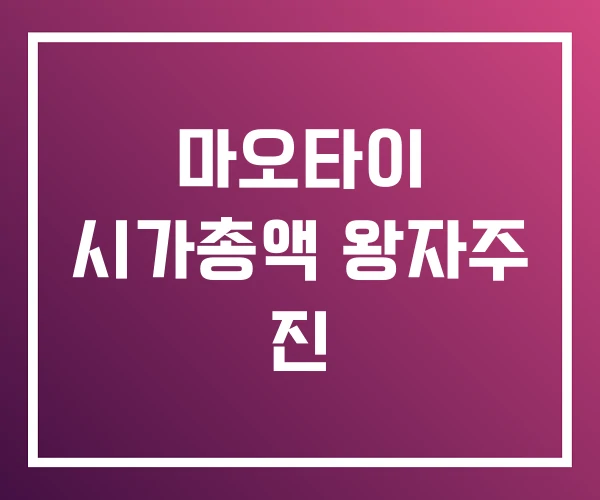 마오타이 시가총액 왕자주 진