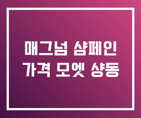 매그넘 샴페인 가격 모엣 샹동 매그넘 샴페인 가격 모엣 샹동