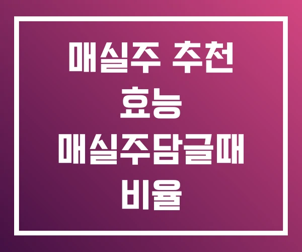 매실주 추천 효능 매실주담글때 비율