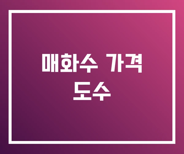 매화수 가격 도수