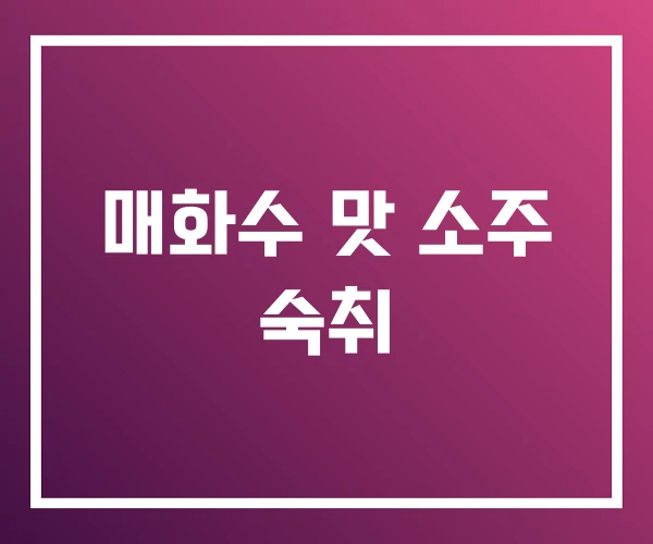 매화수 맛 소주 숙취 매화수 맛 소주 숙취