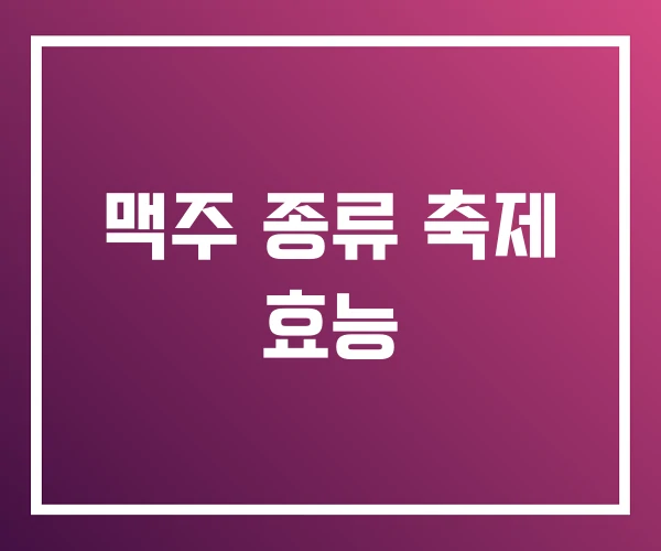 맥주 종류 축제 효능