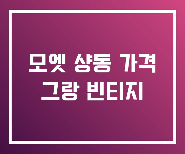 모엣 샹동 가격 그랑 빈티지