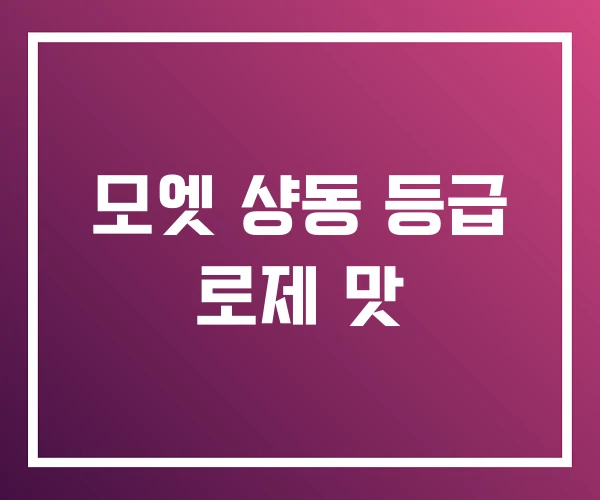 모엣 샹동 등급 로제 맛 모엣 샹동 등급 로제 맛