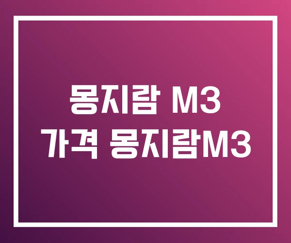 몽지람 M3 가격 몽지람M3 몽지람 M3 가격 몽지람M3
