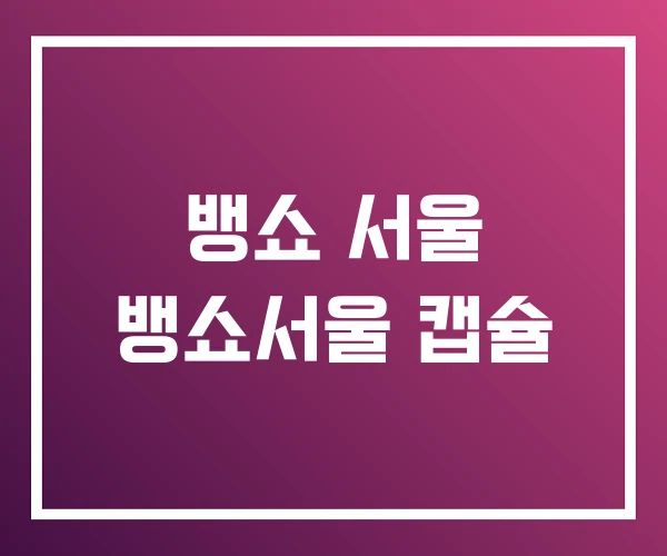 뱅쇼 서울 뱅쇼서울 캡슐