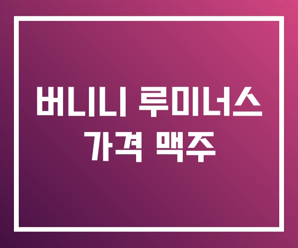 버니니 루미너스 가격 맥주 버니니 루미너스 가격 맥주