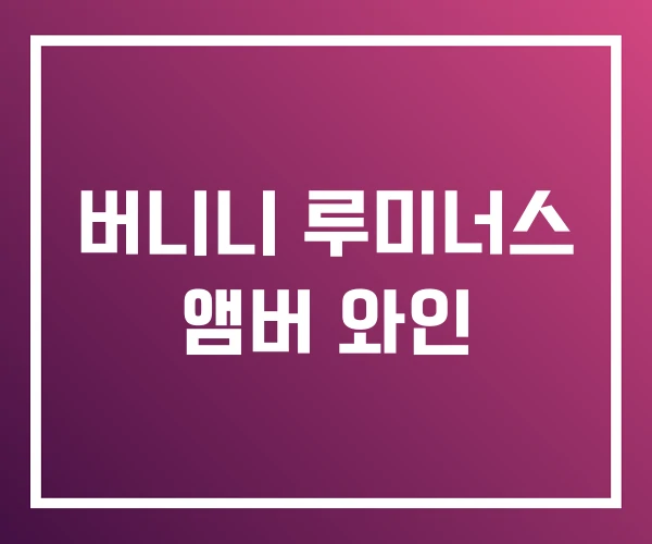 버니니 루미너스 앰버 와인