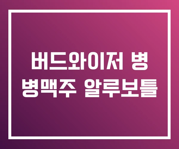 버드와이저 병 병맥주 알루보틀