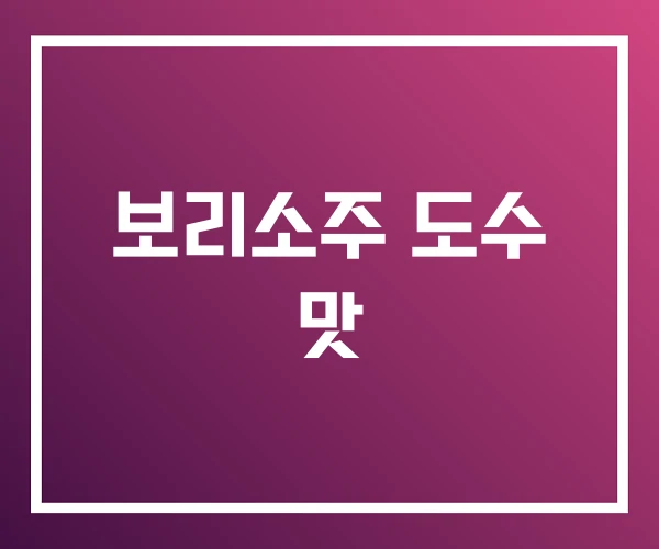 보리소주 도수 맛 보리소주 도수 맛