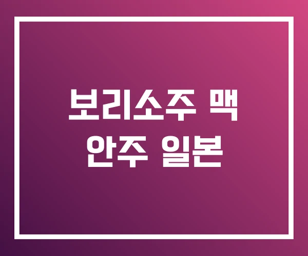 보리소주 맥 안주 일본