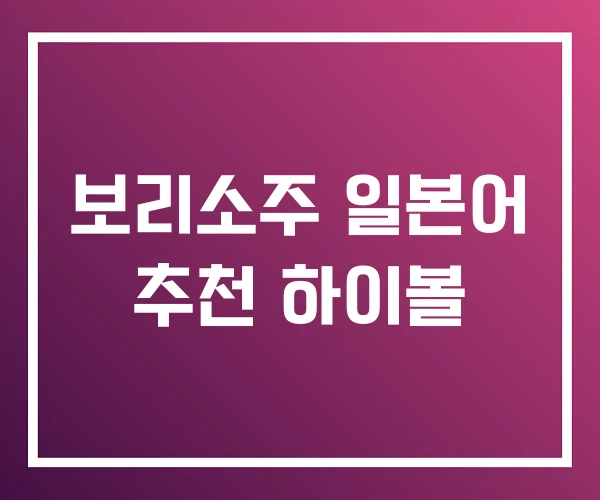 보리소주 일본어 추천 하이볼