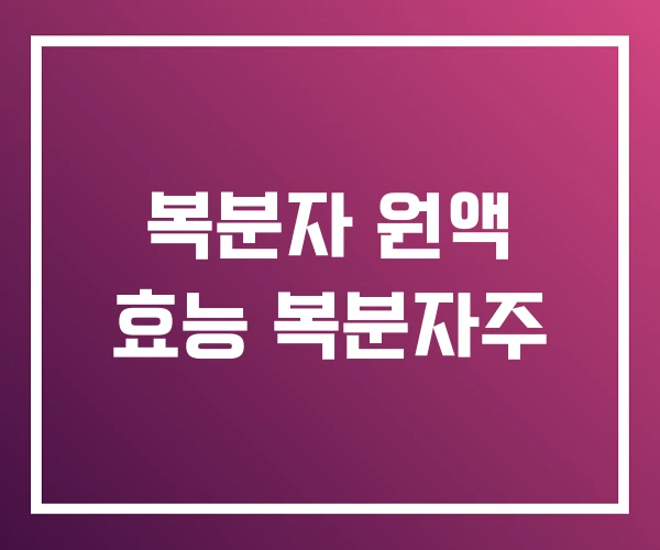 복분자 원액 효능 복분자주 복분자 원액 효능 복분자주