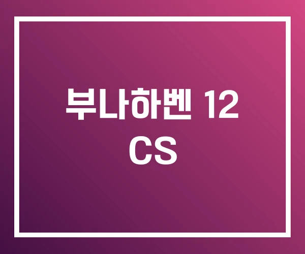 부나하벤 12 CS 부나하벤 12 CS