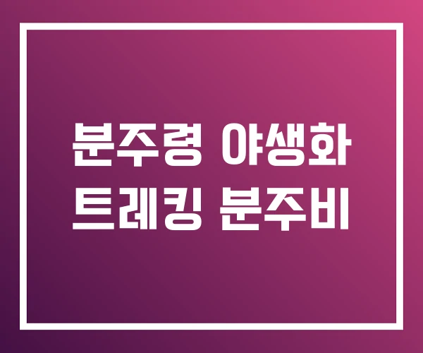 분주령 야생화 트레킹 분주비