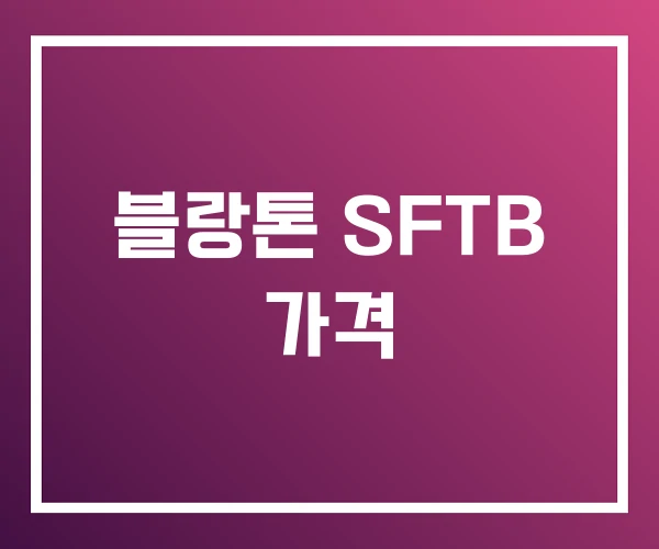 블랑톤 SFTB 가격