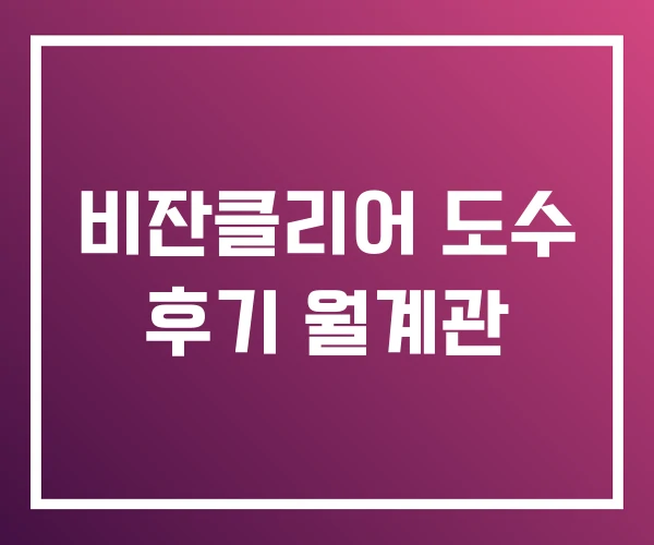 비잔클리어 도수 후기 월계관