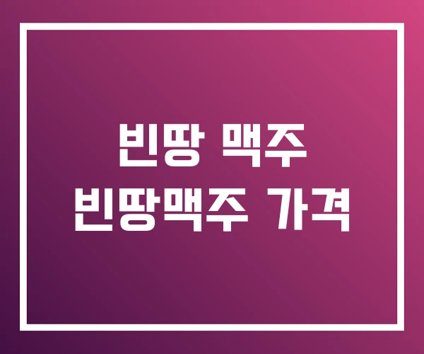 빈땅 맥주 빈땅맥주 가격