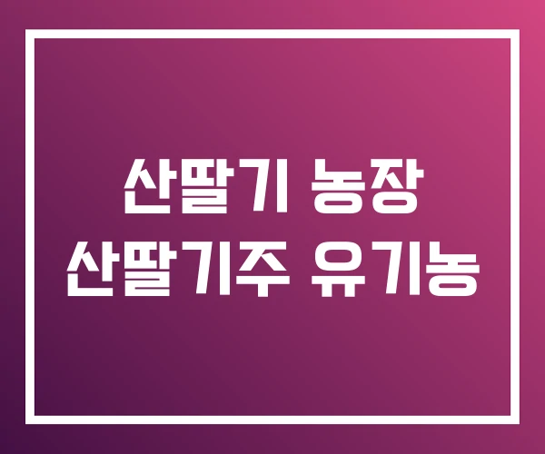 산딸기 농장 산딸기주 유기농