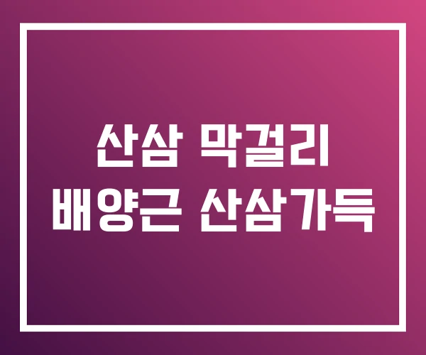 산삼 막걸리 배양근 산삼가득 산삼 막걸리 배양근 산삼가득