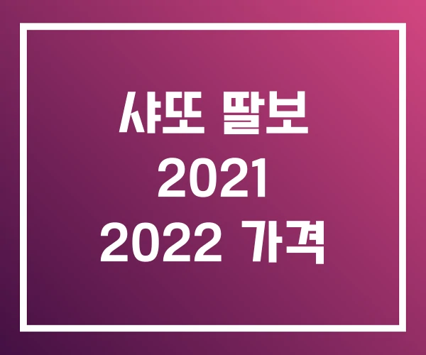 샤또 딸보 2021 2022 가격 샤또 딸보 2021 2022 가격
