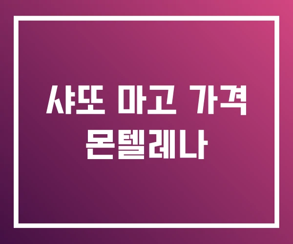 샤또 마고 가격 몬텔레나