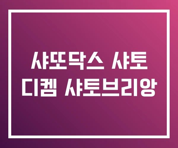 샤또닥스 샤토 디켐 샤토브리앙