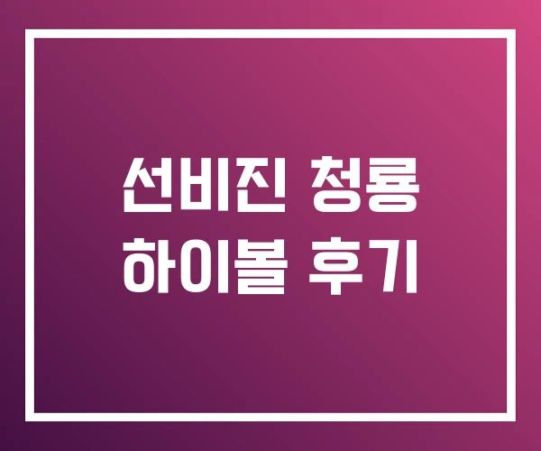 선비진 청룡 하이볼 후기