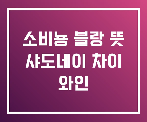 소비뇽 블랑 뜻 샤도네이 차이 와인